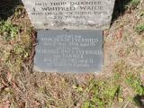 image of grave number 821565